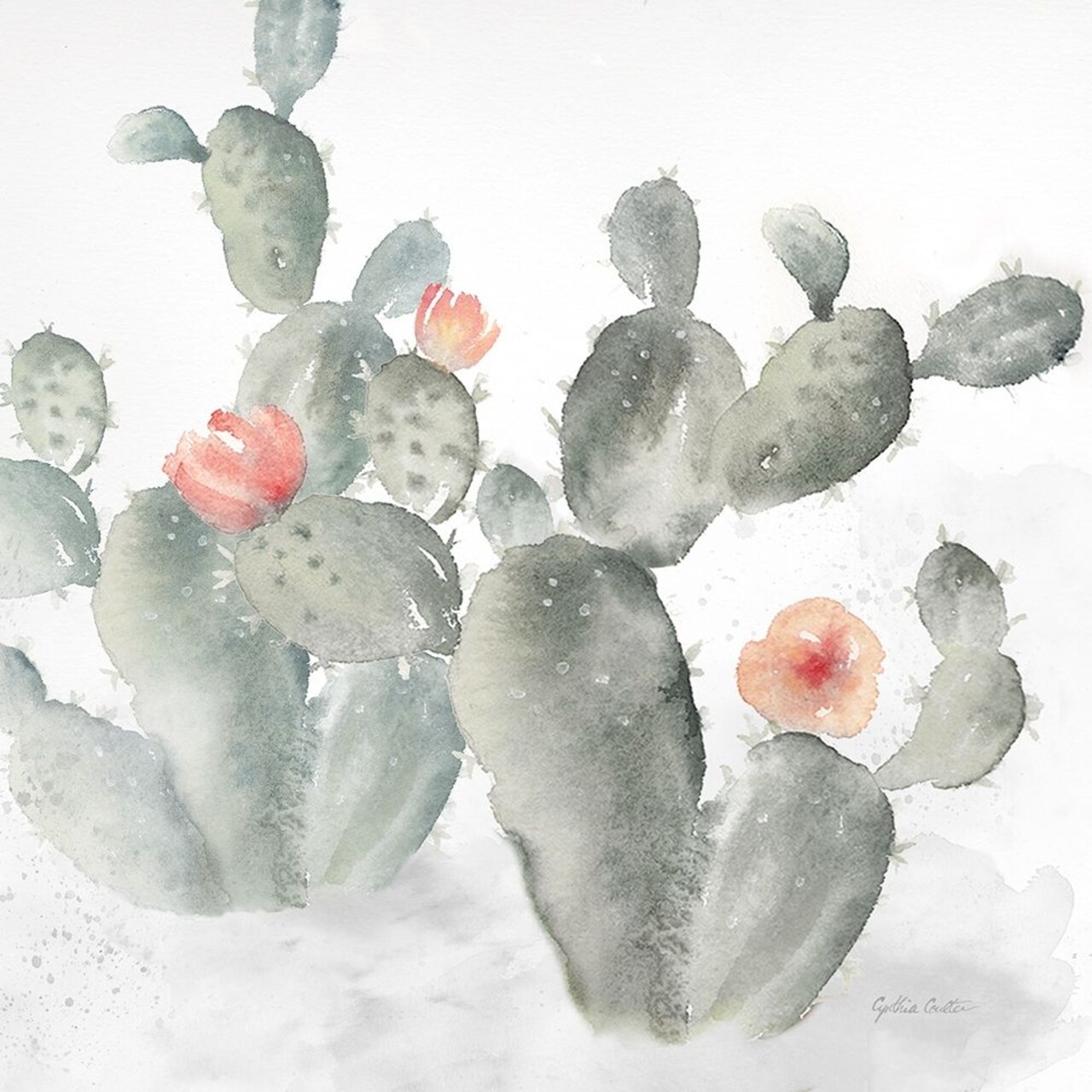 Cactus Garden Gray Blush III Poster Print by Cynthia Coulter - Item # VARPDXRB12676CC